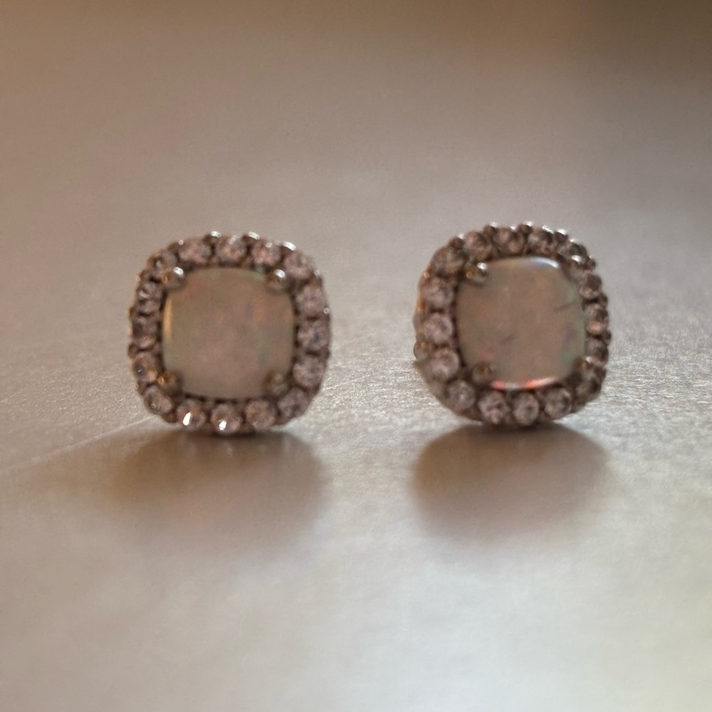 Elegant Silver Stud Earrings